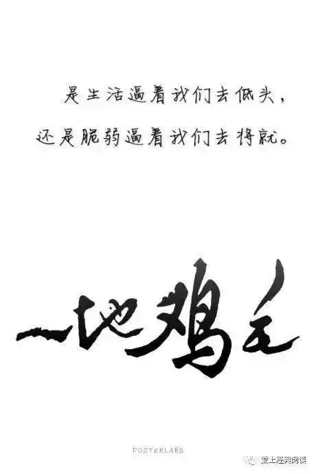 即使生活给了我一地鸡毛  我也把它织成漂亮的鸡毛掸  子04