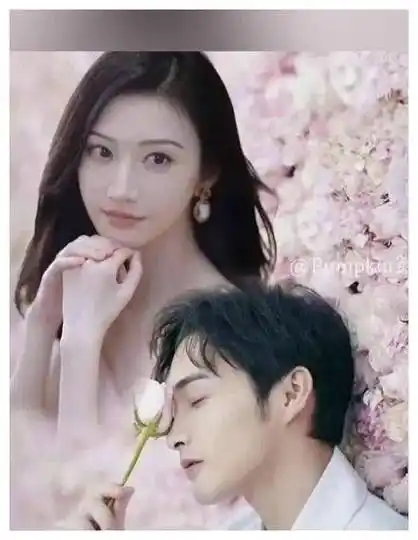 景甜与张彬彬未来合作受阻,前项目转合作阻碍._火花_俩人_口碑