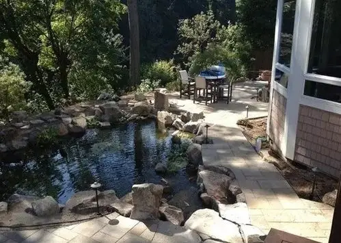 都在院子里挖鱼池网友直呼回家就开干