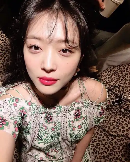 崔雪莉(sulli,,1994年3月29日—2019年10月14日),出生于韩国釜山,韩国
