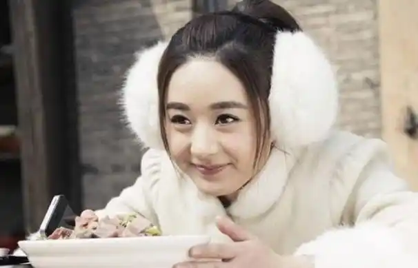 赵丽颖电视剧好评榜(五年九部爆款电视剧)(9)