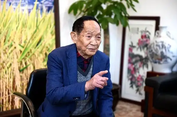 著名科学家袁隆平:"把中国人的饭碗牢牢端在自己手中"