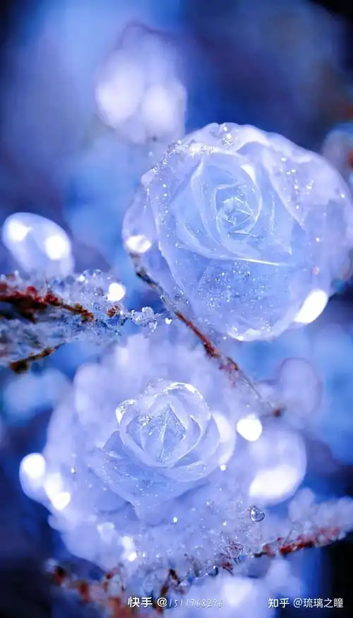 有没有好看的微信背景图分享? - 知乎