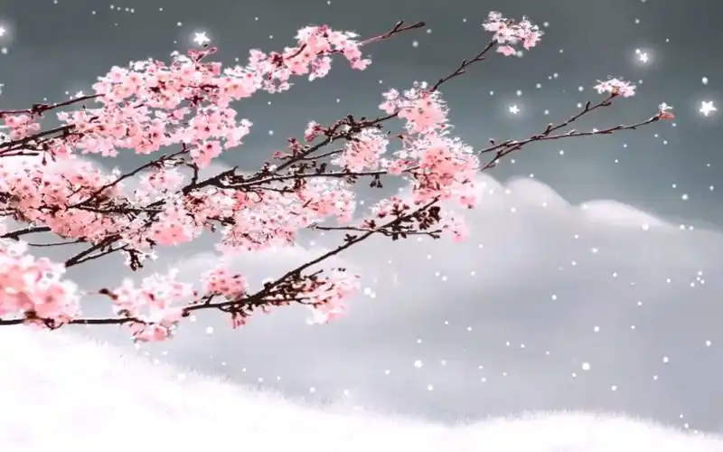 中国风戏曲京剧舞台led背景jj-18