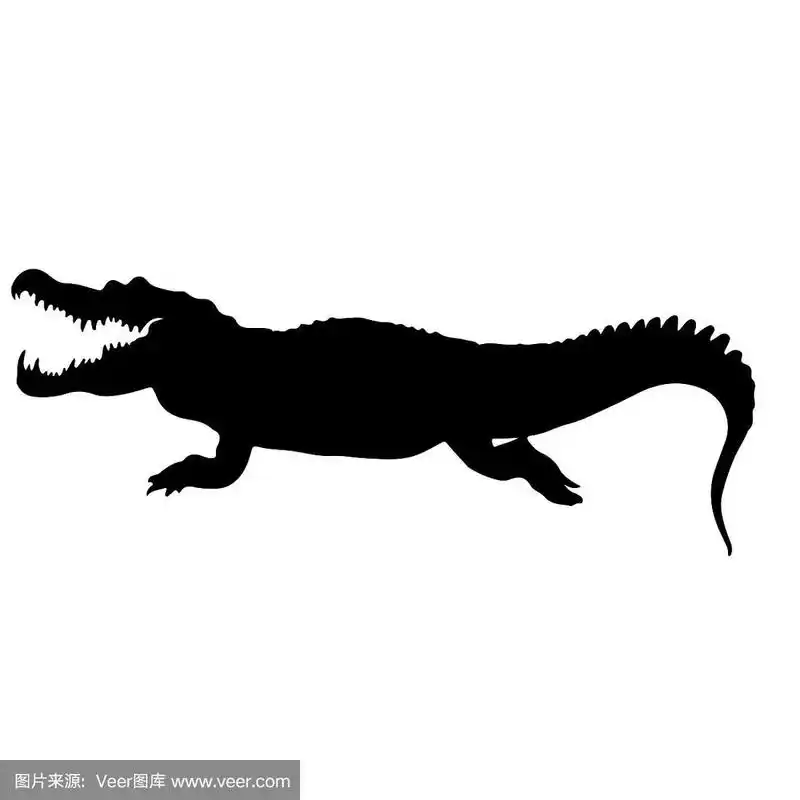 一条鳄鱼的黑色剪影.孤立的矢量图