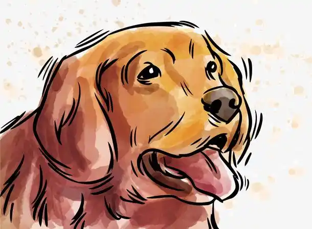 关键词 : 狗狗,小狗,手绘动物,矢量图,宠物狗,卡通动物