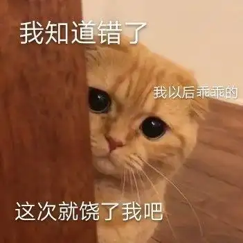 萌宠gif猫星人gif我知道错了gif我道歉gif呆萌gif可爱gif