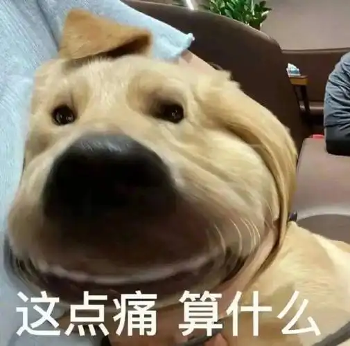 斗图搞笑表情包:抢回家做我老婆 拿图请顺便吱一声 很难有动力发图了