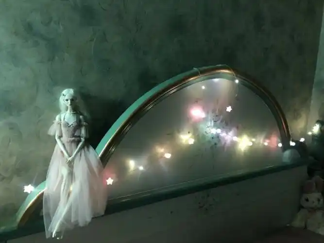 ddannevenus是小公主的家呀hahaha