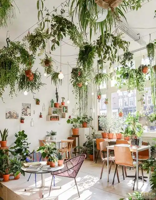 合肥花店装修要点,网红花店这样设计,实现你的梦想