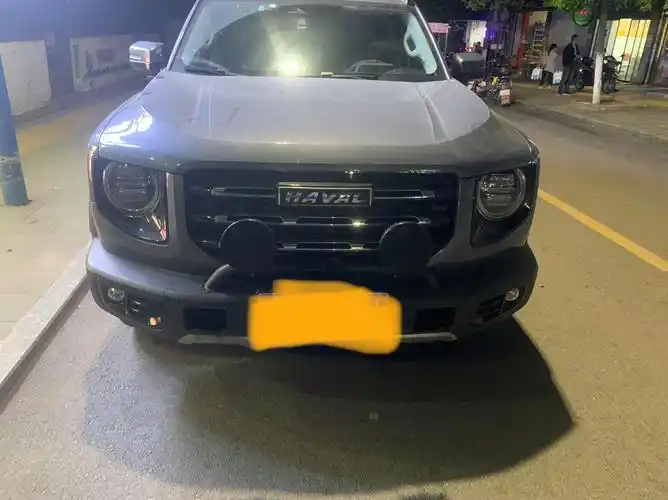 大狗改装之路_哈弗大狗车友圈_快乐松鼠2g_懂车帝