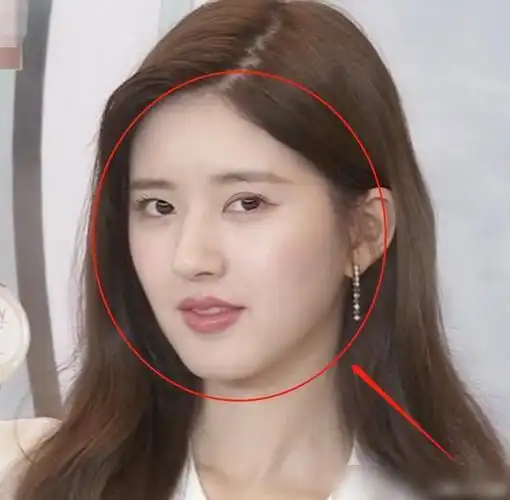 21岁赵露思直播带货截图放大三倍看发缝这发量是认真的吗