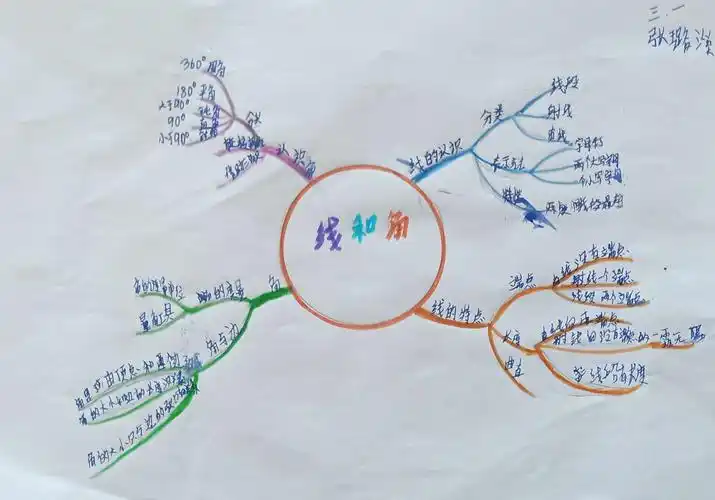 三年级思维导图优秀作品展 - 美篇