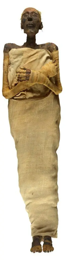 迁往埃及文明博物馆的22具木乃伊详细介绍 (part 2 - 19王朝&20王朝)