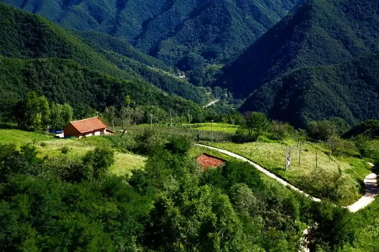 秦岭的瑞士小镇——蓝田流峪高山草甸