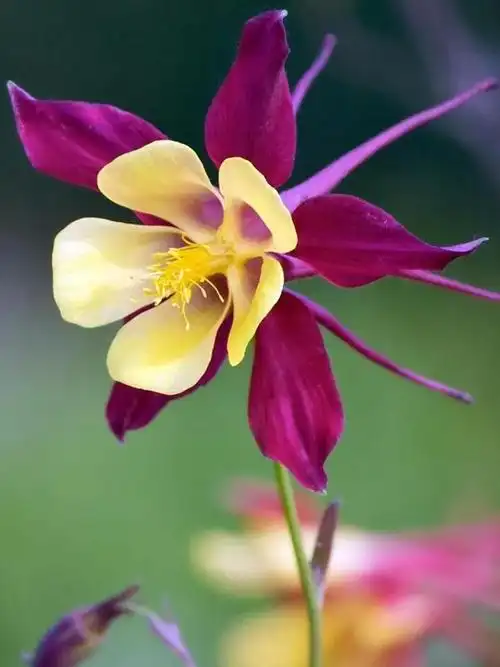 750_1000竖版 竖屏