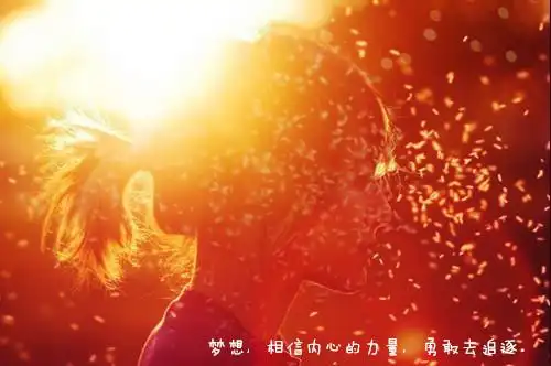 动物网名六个字的动物网名简单气质