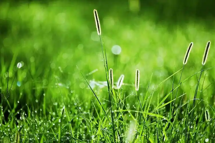 治愈系组图摘抄