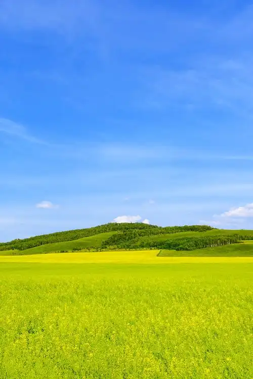 800_1200竖版 竖屏