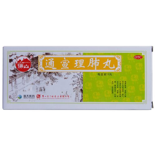 冯了性 通宣理肺丸 6g*10丸