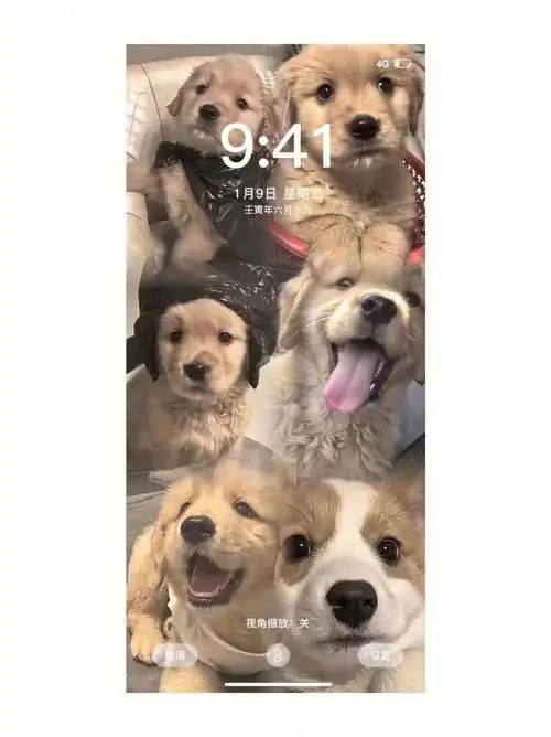 731这拼接壁纸太可爱了