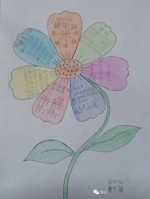 绽放思维之花唐山市路北区兴盛丽景小学三年级数学思维导图作品展示