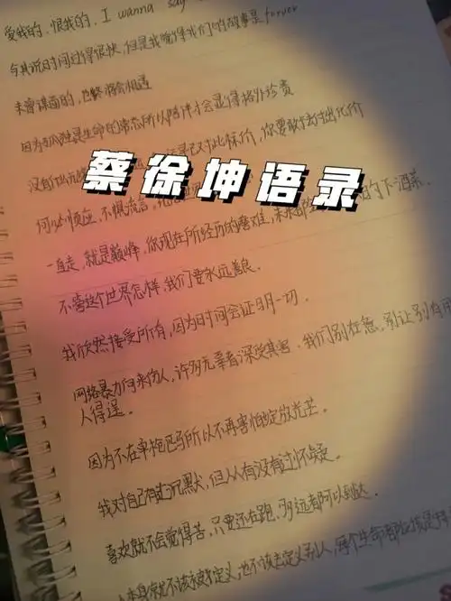 热爱无罪 蔡徐坤无罪