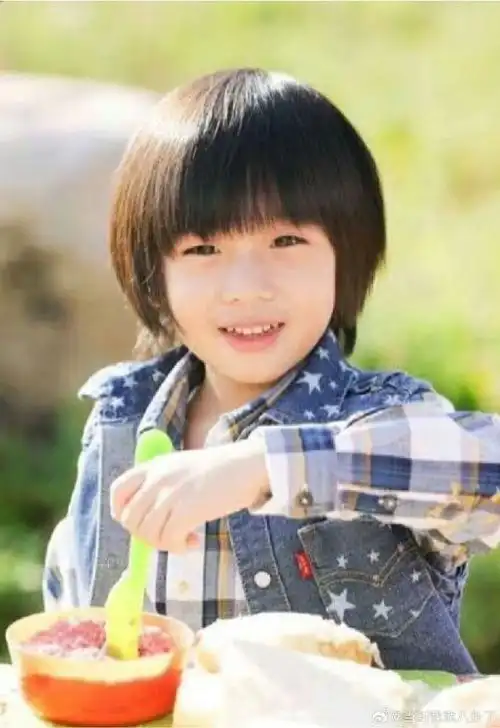 已经长成了小伙子的模样,侧颜鼻梁高挺,看来遗传了林志颖的颜值基因