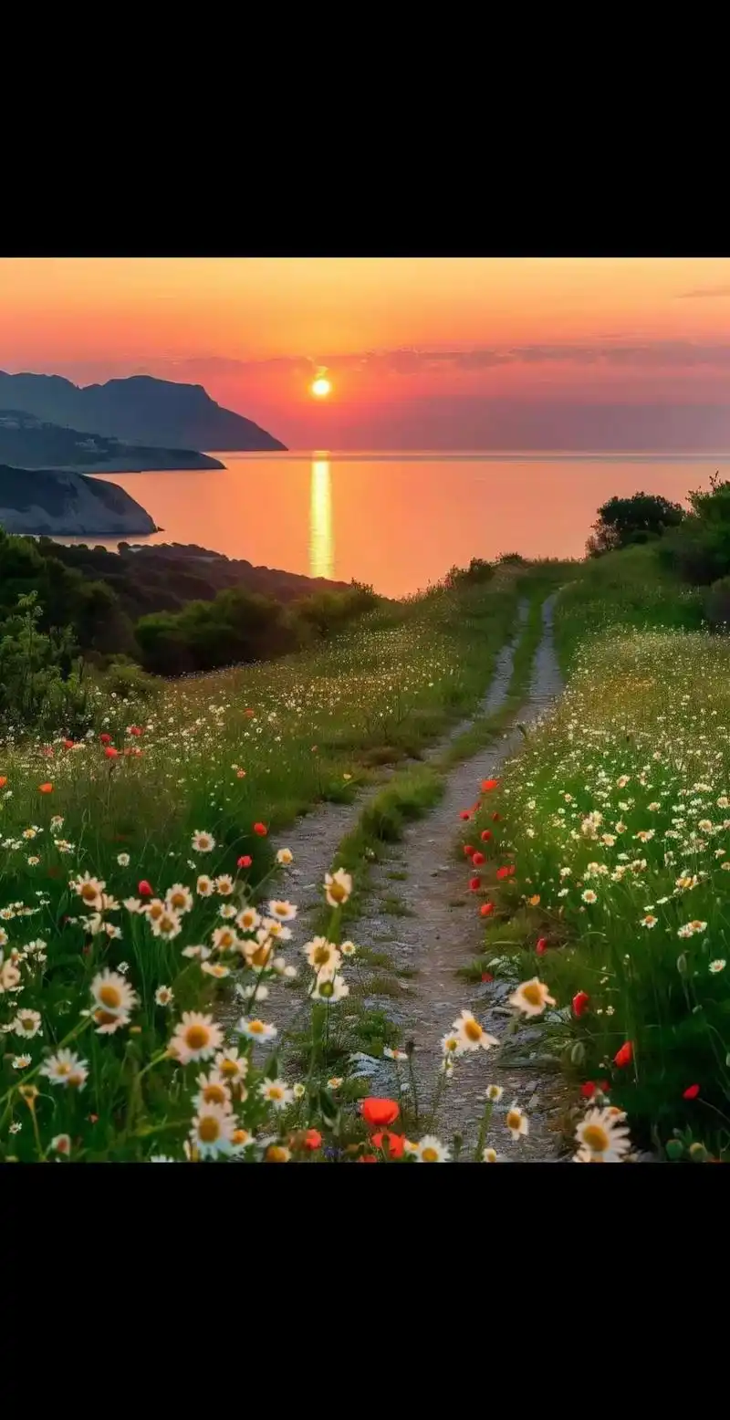 日出东方催人醒不及晚霞懂我心 #生活不止眼前的苟且还有诗和远方