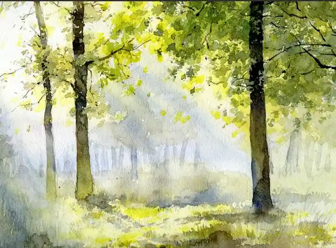 水彩绘之阳光树林