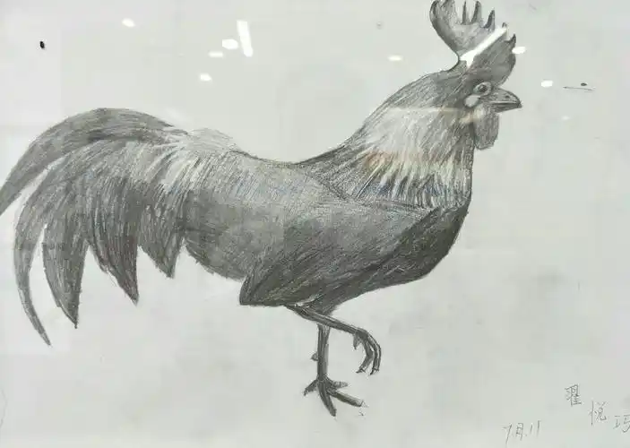 塞尚时代美术初级班暑假绘画作品精选.