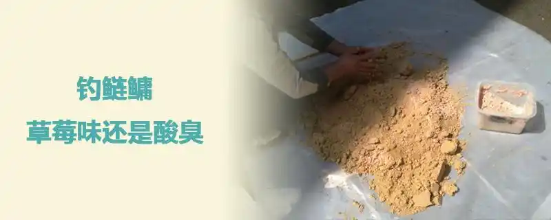 钓鲢鳙草莓味还是酸臭