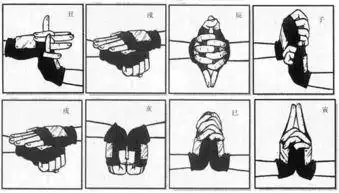 尸鬼封尽结印图片 - 搜狗图片搜索