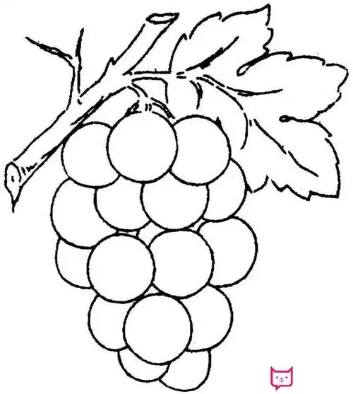 水果简笔画图片大全,葡萄简笔画