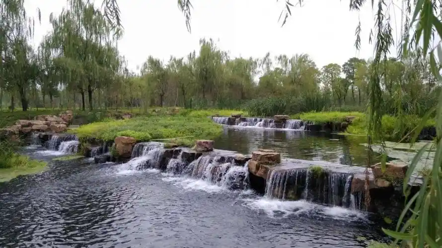 上午,周报君来到位于六安城区凤凰西路以东,西城路西侧的凤凰河景观带