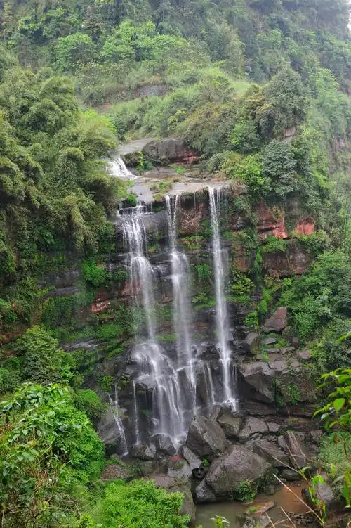 几挂涓细的瀑布至崖壁上飞落而下,宛如几匹飘飞的白练,溅得谷底珠飞