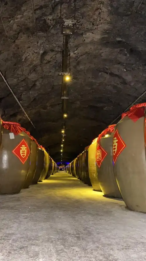 观丹泉酒窖 - 简书