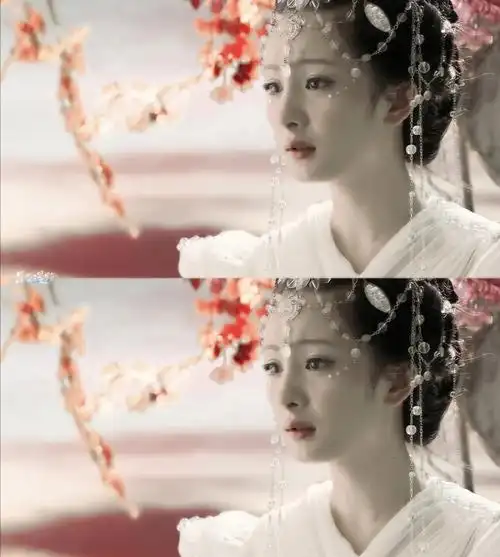 夕瑶咫尺天涯莫失莫忘