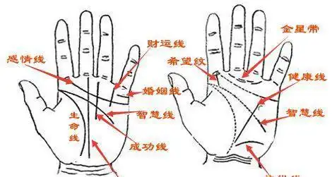 手相知识详解之生命线(上)