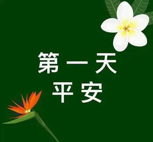 我在家乡感恩为平安付出的人,我也为您祈祷平安!愿山河无恙!
