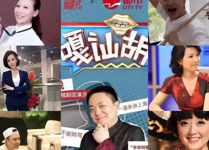 广电总局发文后房海燕程雷等复出无望舒悦可能退出节目