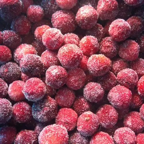 冰杨梅鲜冷冻杨梅 冰镇杨梅 速冻杨梅夏日含汁 工厂直发