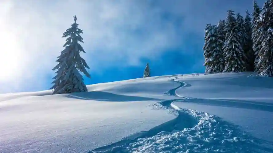 清澈雪景既好看又护眼的电脑壁纸