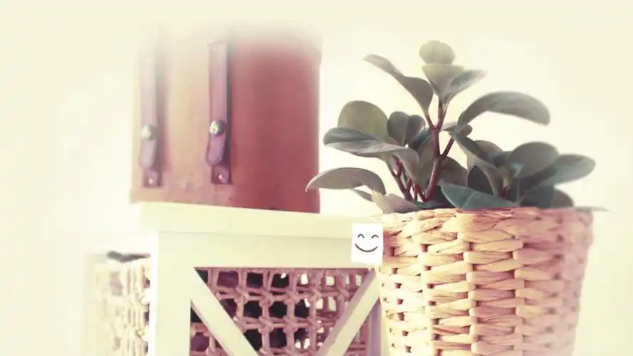 微笑好心情桌面壁纸_可爱壁纸_墨鱼部落格