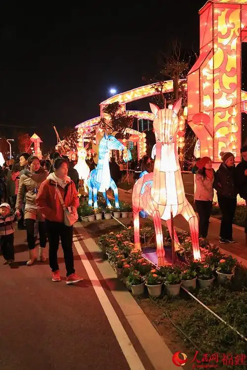 第12届"两马同春闹元宵"亮灯 两岸同胞街头赏灯感受元宵节气息