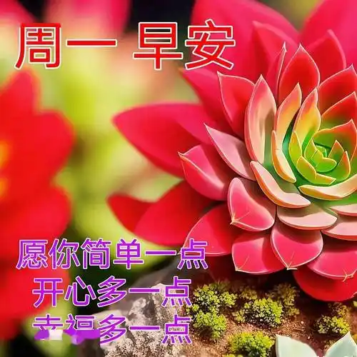早上好图片漂亮祝福,时时牵挂,情谊最真_问候_开心_平安