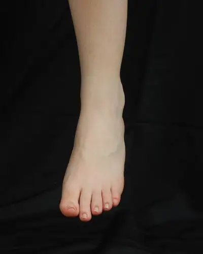 真人脚部素材参考图