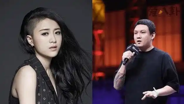 那英|张碧晨|吴莫愁|选秀节目|百度软件|社交平台|中国好声音_网易