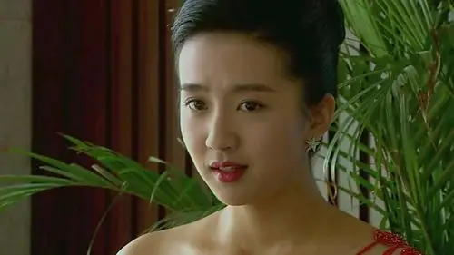 你是我的眼电视剧演员表_左耳