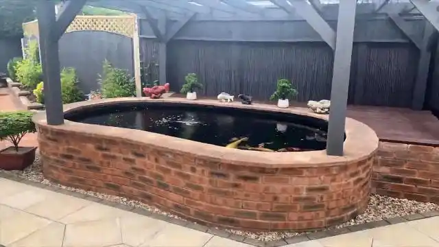 乡下老家院子里造鱼池,面积不大,意境却很美,锦鲤个头很大